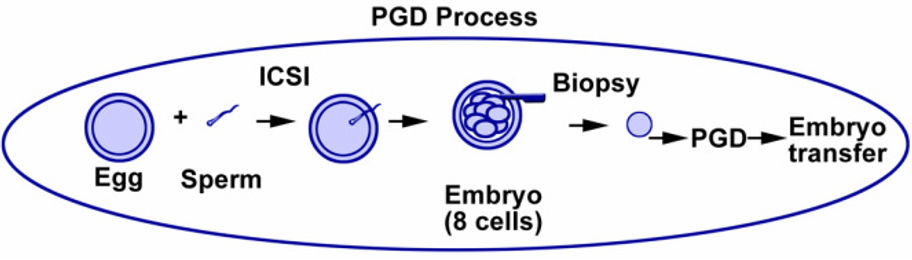 conclusion image