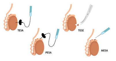 conclusion image