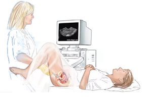 conclusion image