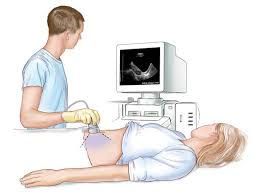 conclusion image